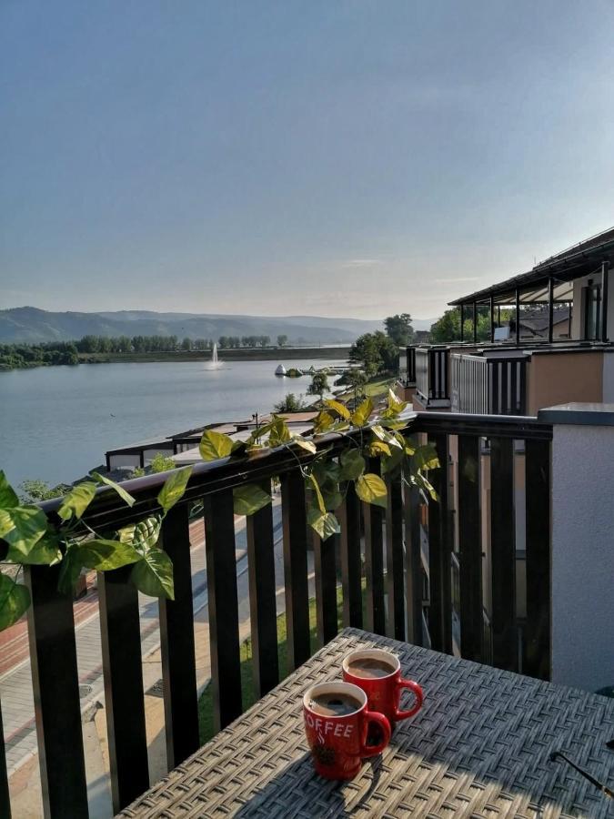 Dionis Apartment Veliko Gradište Екстериор снимка