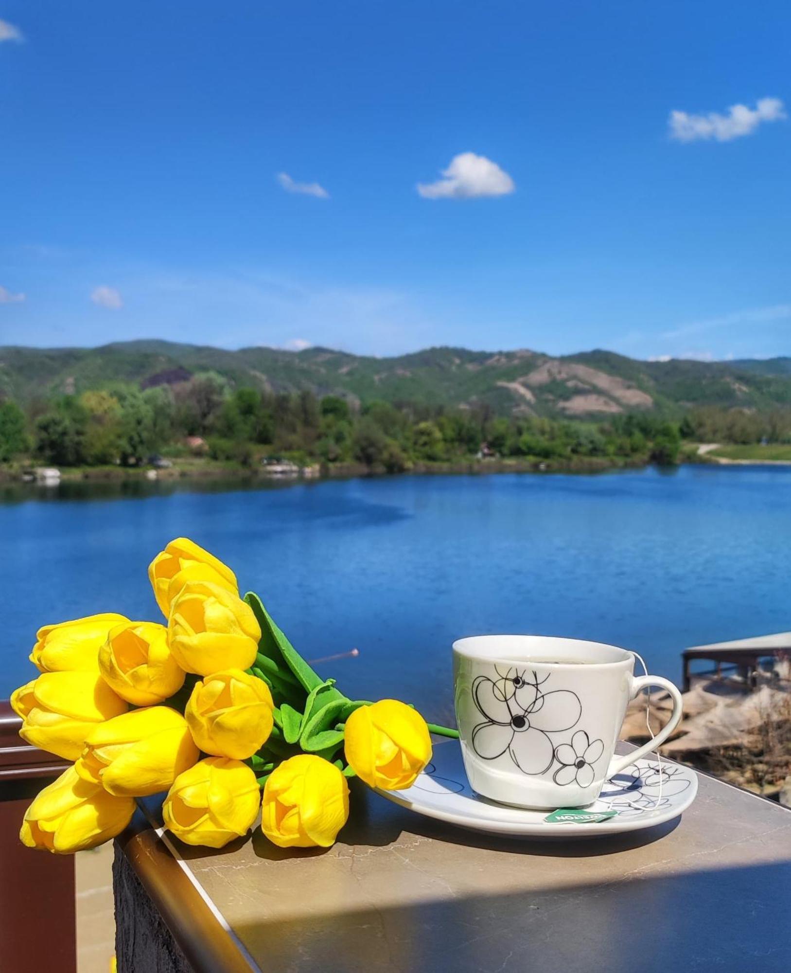Dionis Apartment Veliko Gradište Екстериор снимка