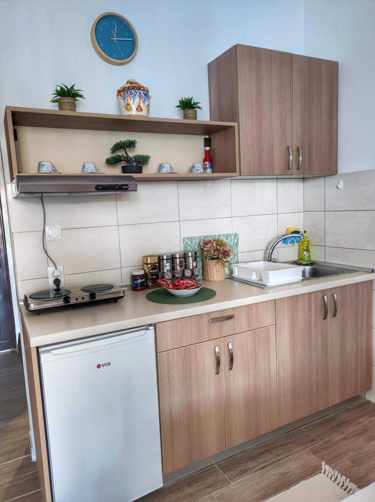 Dionis Apartment Veliko Gradište Екстериор снимка